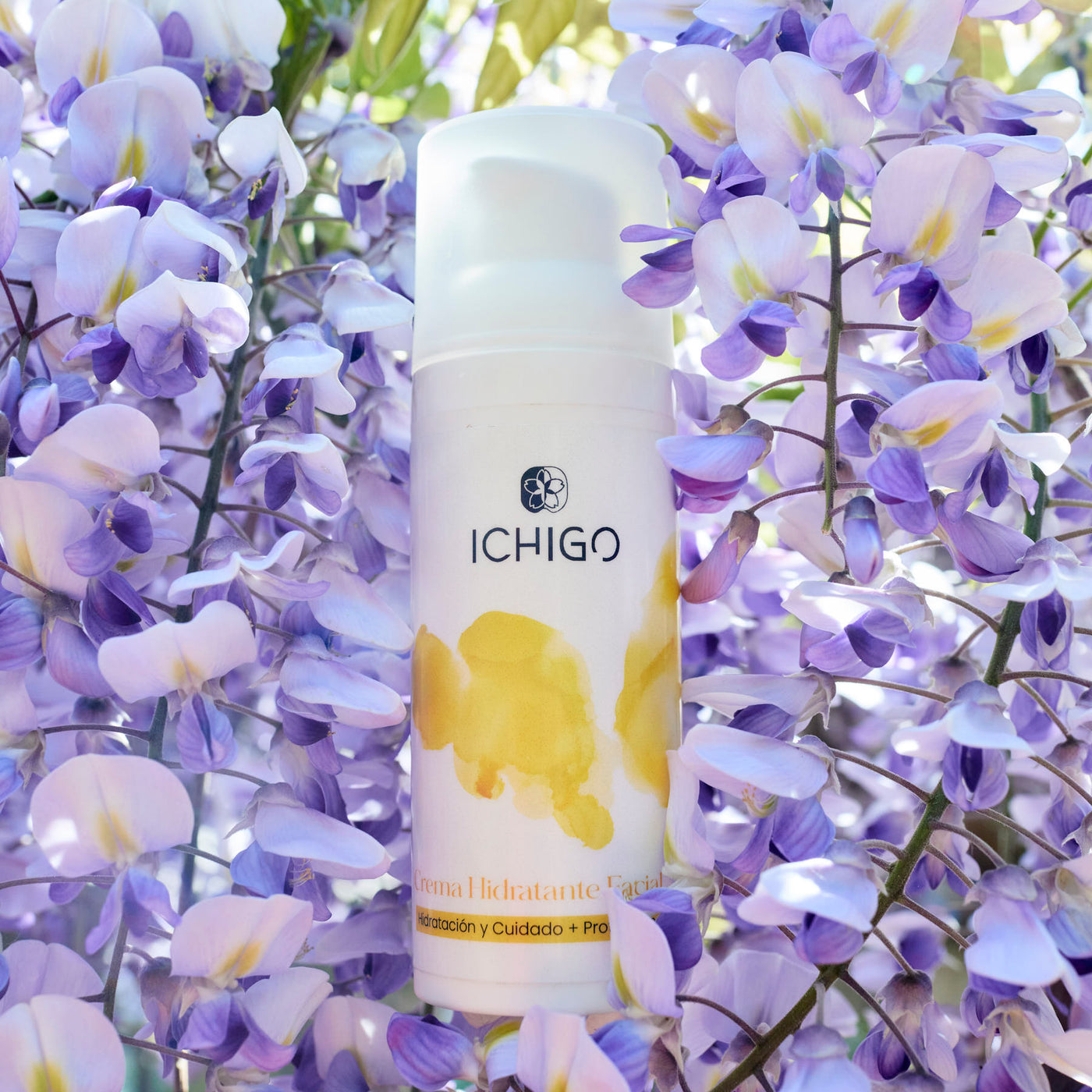 ICHIGO Crema Hidratante Facial 30  · Hidratación y cuidado + Protección solar