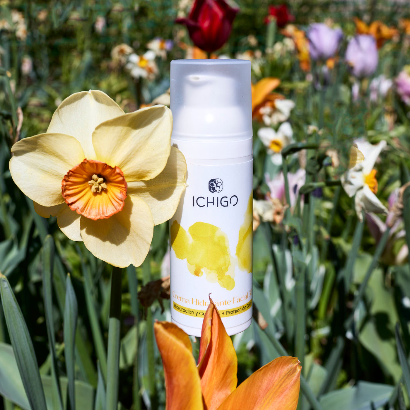 ICHIGO Crema Hidratante Facial 30  · Hidratación y cuidado + Protección solar