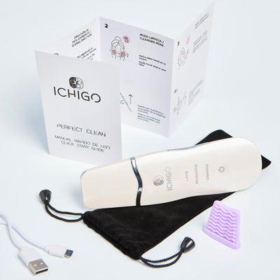 ICHIGO Perfect Clean 4 in 1 Ultraschallreiniger